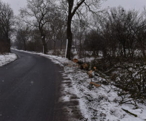 Śmiertelny wypadek Trzebczu Szlacheckim. Nie żyje 37-letni kierowca, który nie miał prawa jazdy