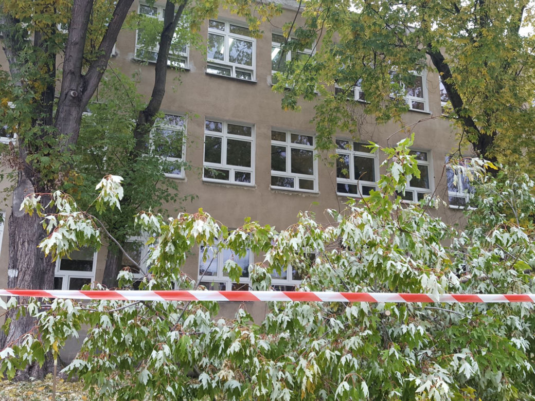 Strażacy (i piły) na pełnych obrotach