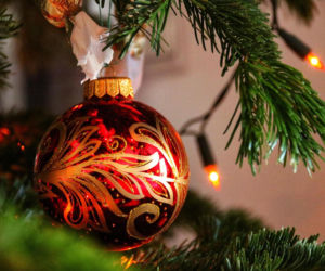 Co zrobić z choinką po świętach? Do kiedy trzymać drzewko w domu? Oto praktyczne rozwiązania