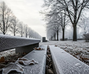Bełchatów w szoku! 19.11.2025 przyniesie lodowaty podmuch, ale co wydarzy się jutro?