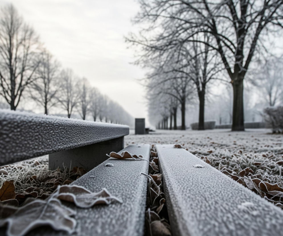 Mroźny park ukazuje ławkę pokrytą szronem na pierwszym planie, z kilkoma suchymi liśćmi dębu leżącymi na jej siedzisku i wokół podstawy. Trawa i opadłe liście na ziemi również są pokryte grubą warstwą szronu, tworząc kontrastujące tekstury. W tle widoczna jest aleja drzew z nagimi gałęziami, również oszronionymi, rozciągająca się w głąb obrazu pod pochmurnym, jasnoszarym niebem.
