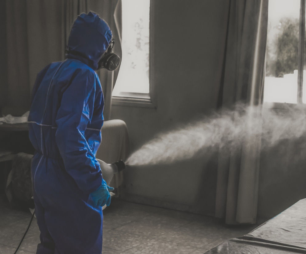 Bełchatów: Urząd miasta będzie NIECZYNNY. W budynku dekontaminacja! 