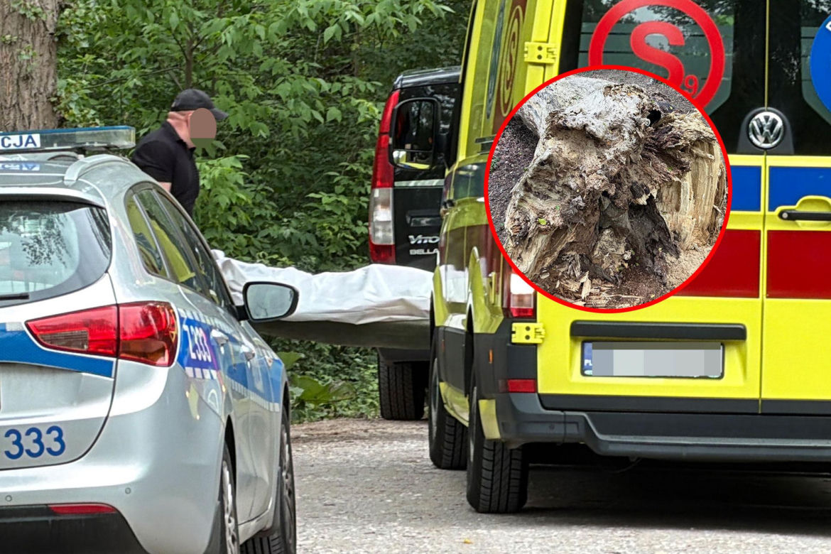 Mężczyzna przygnieciony drzewem przy Moście Poniatowskiego w Warszawie