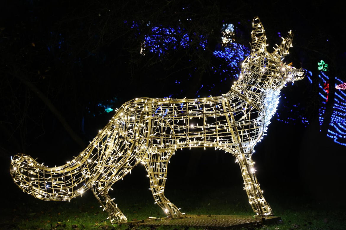 Park iluminacji 2023 w Lublinie