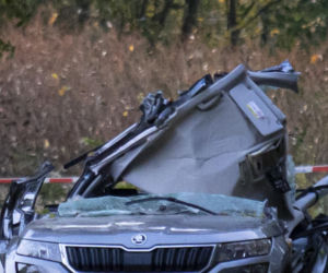 Pojechali na spacer z psem. Wszyscy nie żyją