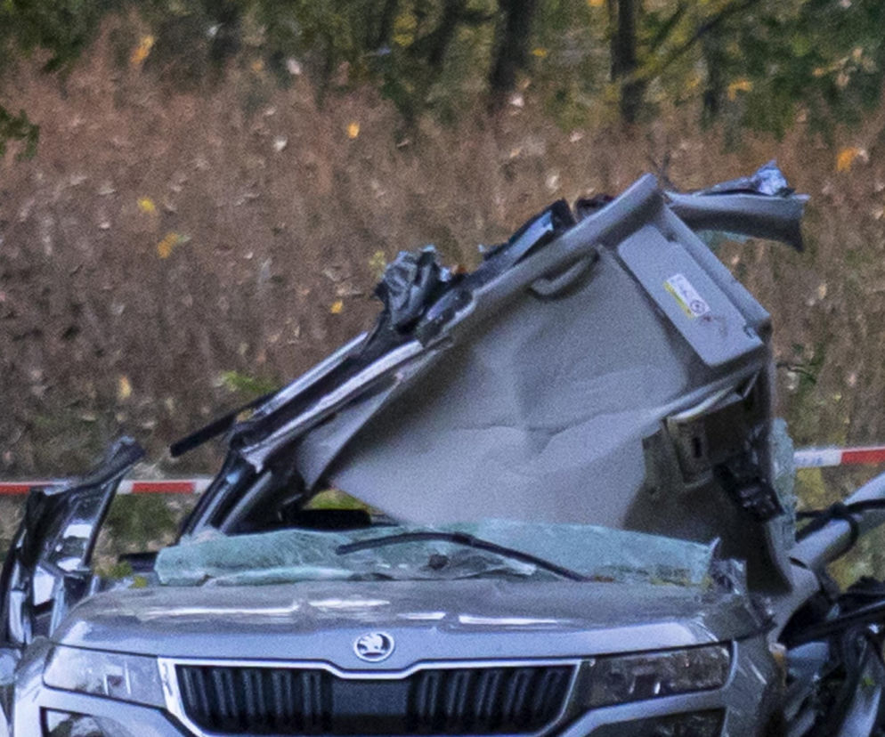 Pojechali na spacer z psem. Wszyscy nie żyją