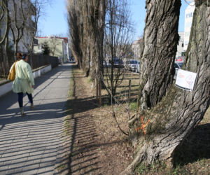 Wielkie zmiany obok domu Kaczyńskiego. Ludzie są wściekli 