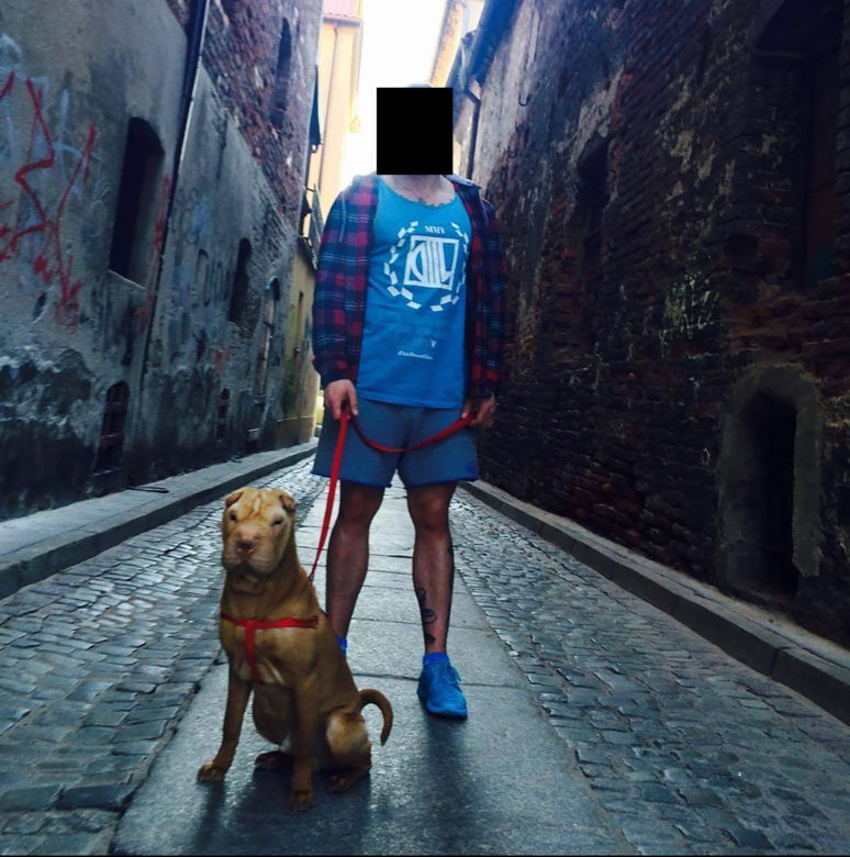 Bobik nie żyje. Właściciel z Torunia aresztowany