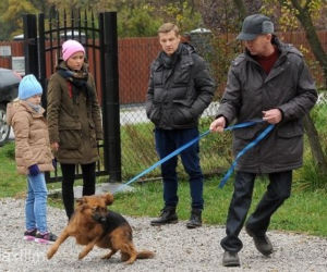 M jak miłość odc. 1204. Paweł (Rafał Mroczek), pies Kminek (Lizak), Ala (Olga Frycz), Basia (Gabriela Raczyńska)