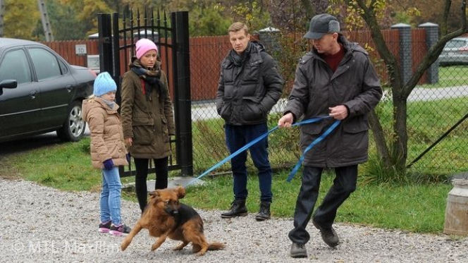 M jak miłość odc. 1204. Paweł (Rafał Mroczek), pies Kminek (Lizak), Ala (Olga Frycz), Basia (Gabriela Raczyńska)