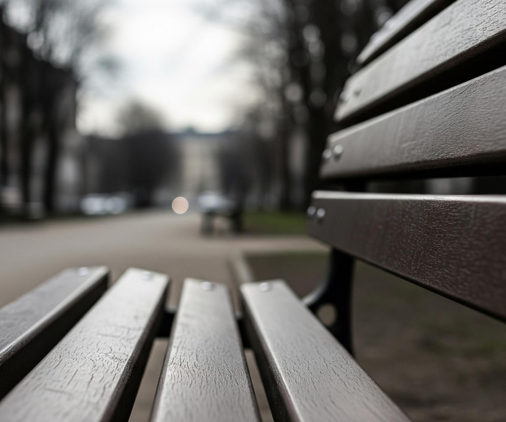 Głównym obiektem na zdjęciu jest drewniana ławka w parku, zajmująca prawą i dolną część kadru. Składa się z kilku równoległych, brązowych desek, z widoczną teksturą drewna i metalowymi śrubami mocującymi. Prawa strona ławki, w szczególności oparcie, jest bliżej i bardziej wyraźna, podczas gdy lewa strona ławki i alejka w tle są rozmyte. W tle widać długą alejkę parkową, otoczoną drzewami o ciemnych, nagich gałęziach, z rozproszonym światłem i kilkoma niewyraźnymi obiektami w oddali.