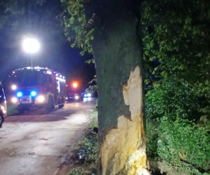 Dopiero weszli w dorosłość. Zginęli tragiczną śmiercią podczas wypadku