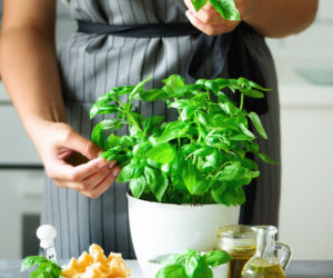 Pesto: przepis krok po kroku