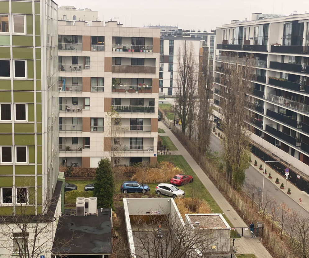 Wysyp aut na trawniku na Żoliborzu
