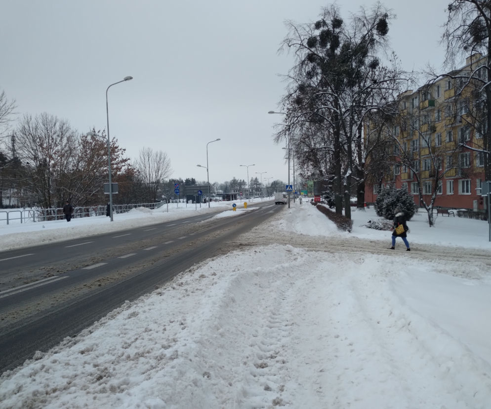 zamość
