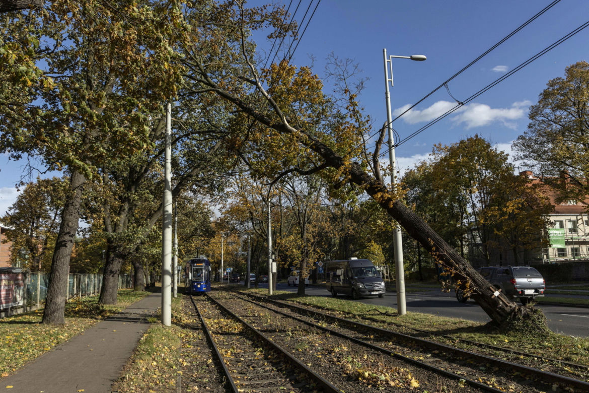 Silny wiatr przewracał drzewa i zrywał dachy