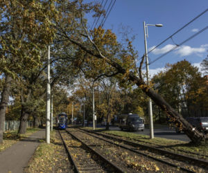 Pogoda: Wiatr powala drzewa i blokuje pociągi. Ofiary śmiertelne i ranni!