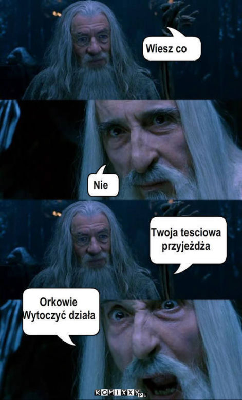 Dzień Teściowej 2021: MEMY. Najlepsze, śmieszne żarty i obrazki o teściowych [ZDJĘCIA]