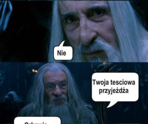 Dzień Teściowej 2021: MEMY. Najlepsze, śmieszne żarty i obrazki o teściowych [ZDJĘCIA]