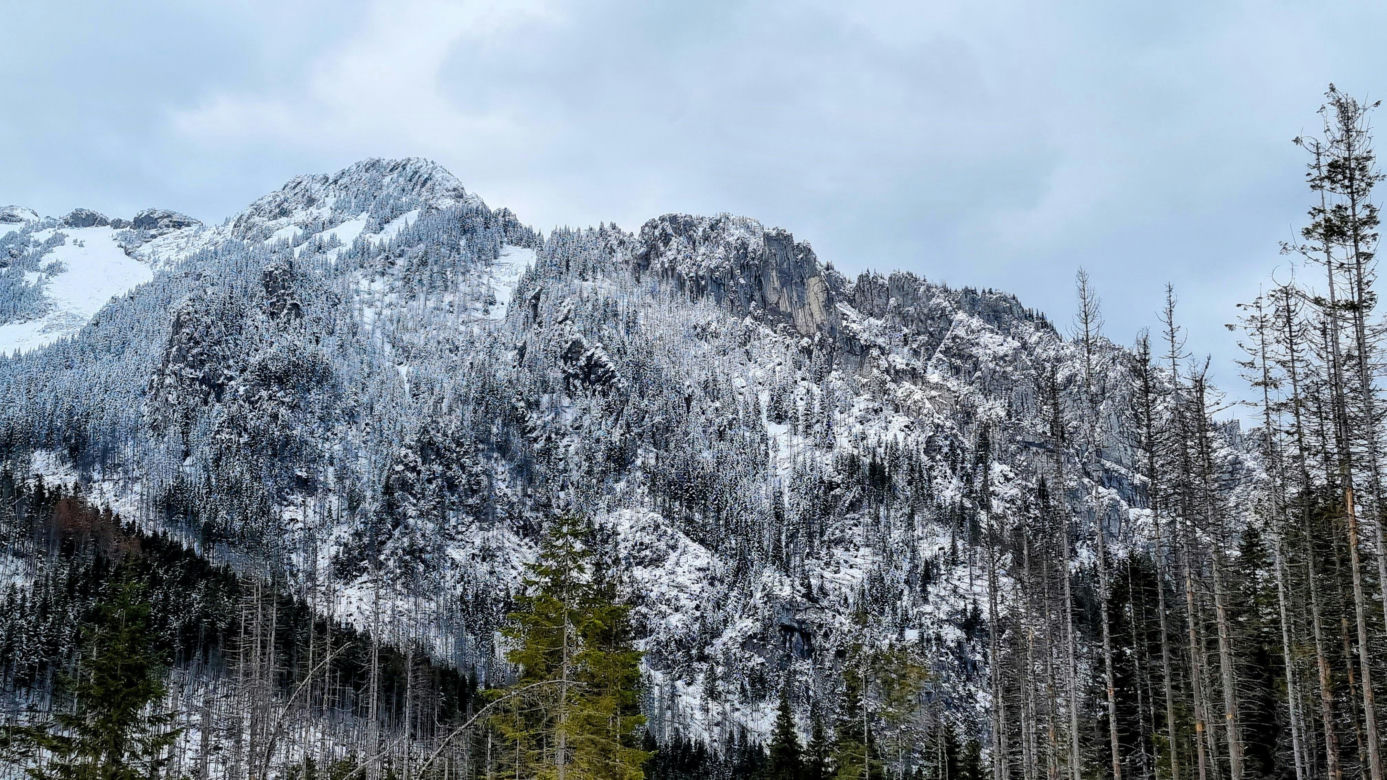 Tatry
