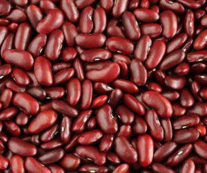 2. Fasola czerwona – 1188 mg/100 g