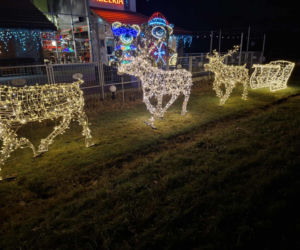 Magia Świąt w Świętokrzyskiem. Gdzie szukać najpiękniej oświetlonych domów? Rzepin i Pawłów skradły show!