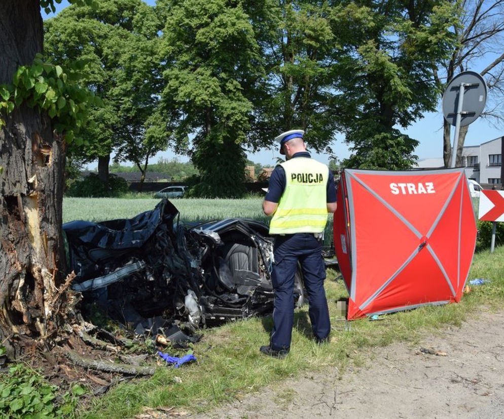 Z Audi A6 został tylko tył. Kierowca zginął na miejscu