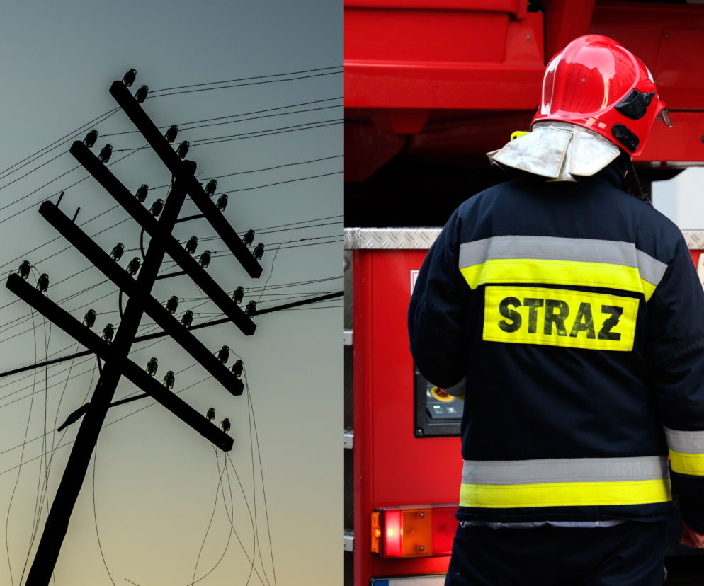 53 tysiące mieszkań bez prądu, zerwane dachy i paraliż komunikacyjny. Wichura sieje spustoszenie na Mazowszu
