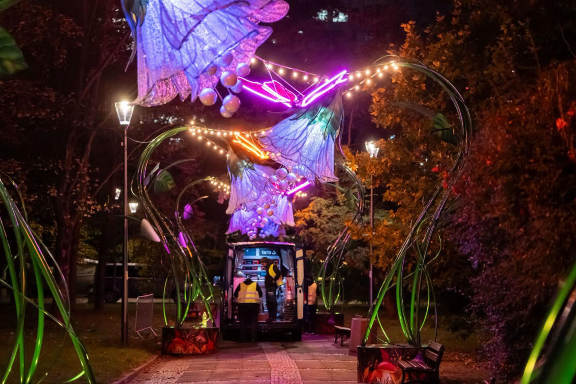 Iluminacja w Parku Świętokrzyskim. Wygląda pięknie