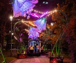 Iluminacja w Parku Świętokrzyskim. Wygląda pięknie