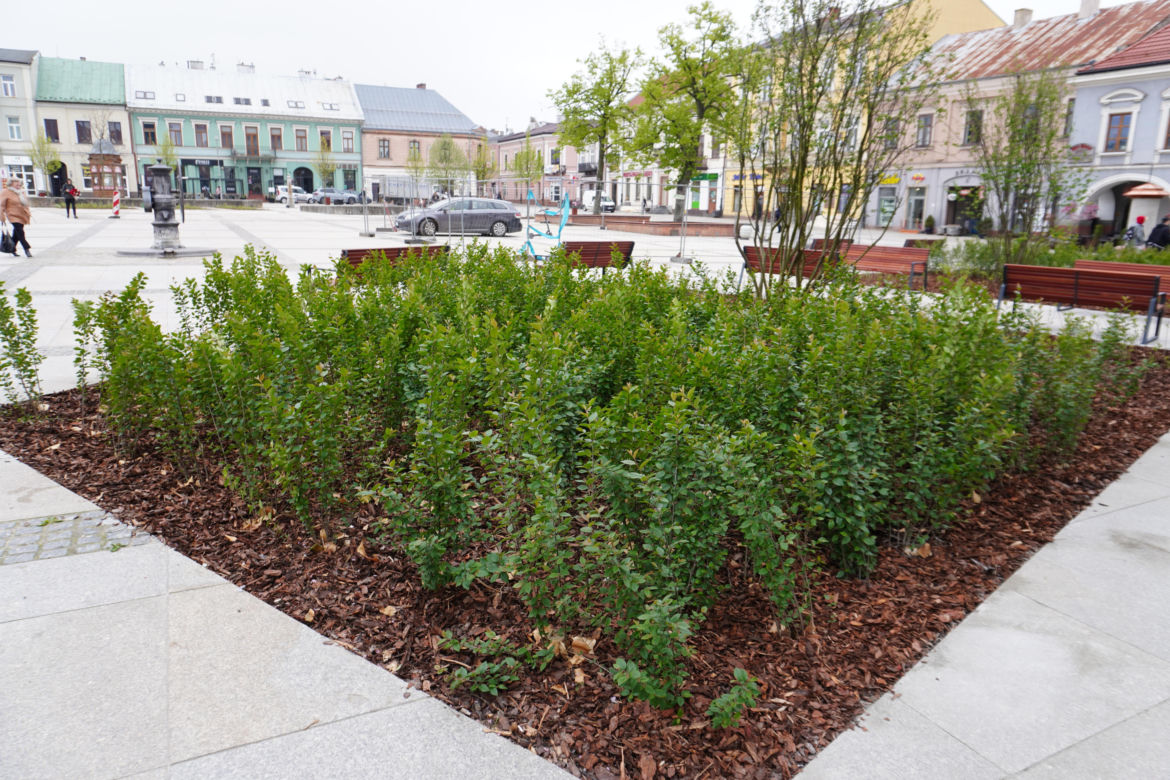 Rynek w Kielcach