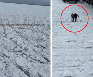 Chwile grozy nad polskim morzem! Weszli na zamarznięty Bałtyk. Lód pękł pod nogami! Wszystko zostało nagrane [WIDEO]