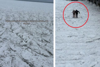 Chwile grozy nad polskim morzem! Weszli na zamarznięty Bałtyk, lód pękł. Wszystko widać na nagraniu