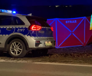 Kolejna śmierć na linii otwockiej. 24-latek zginął pod kołami pociągu