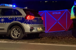 Kolejna śmierć na linii otwockiej. 24-latek zginął pod kołami pociągu