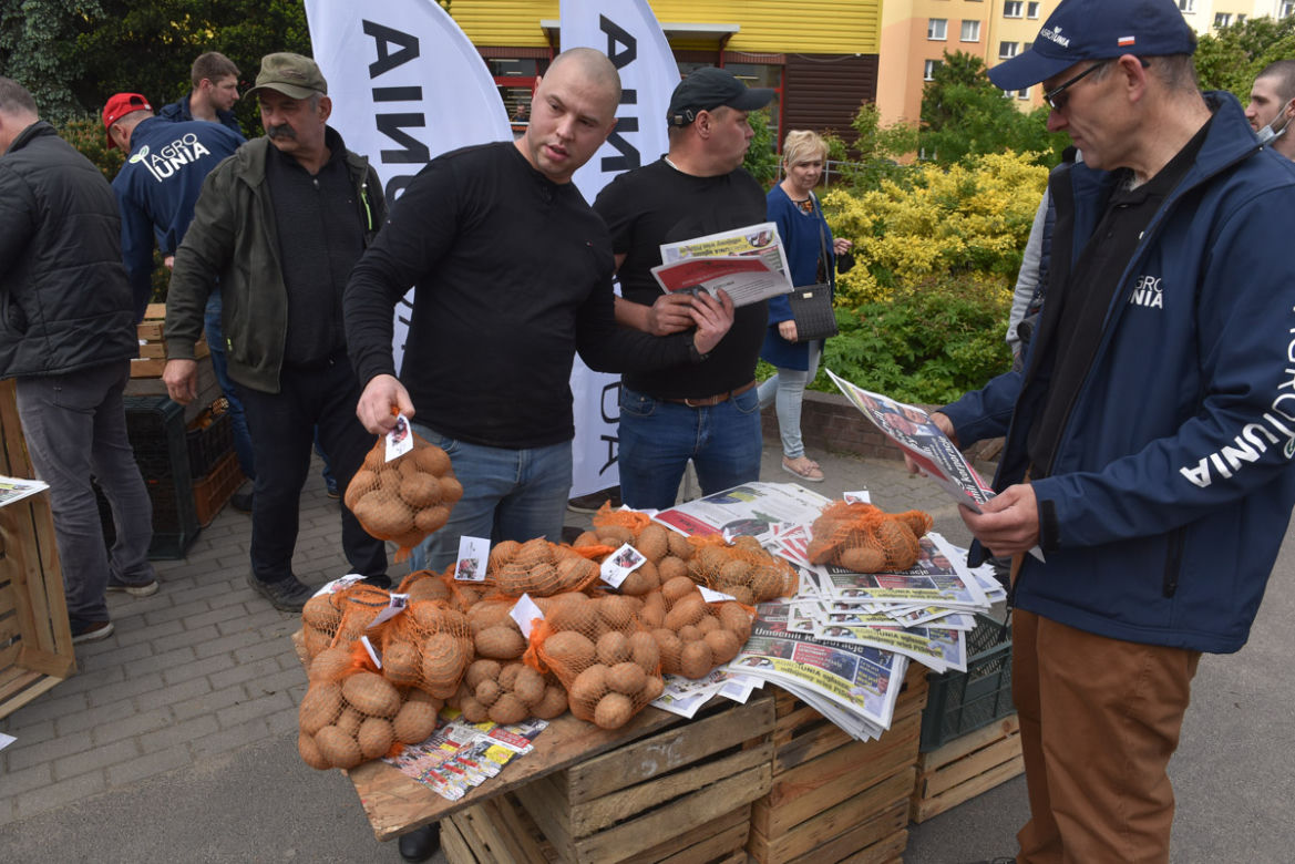 Nietypowy protest Agrounii. Rolnicy rozdawali ziemniaki w Toruniu