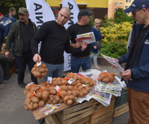 Nietypowy protest Agrounii. Rolnicy rozdawali ziemniaki w Toruniu