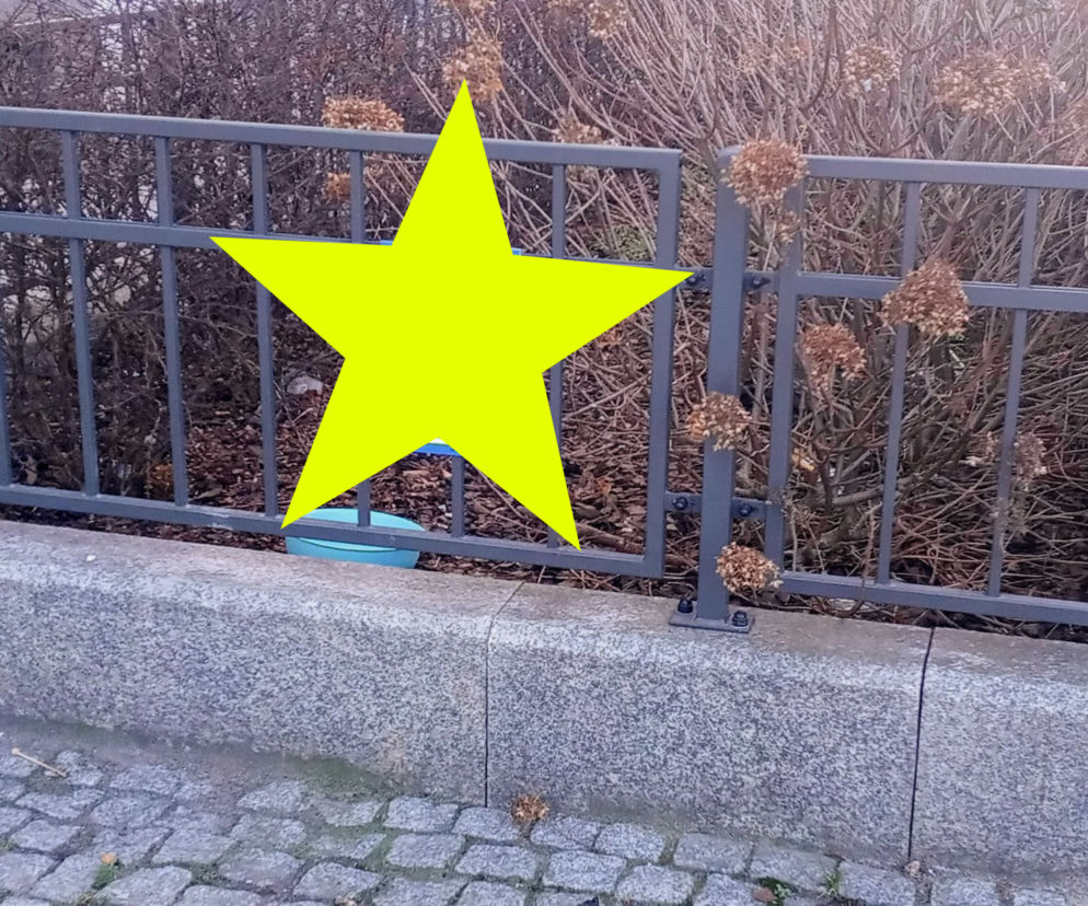 Sposób na mistrzów parkowania