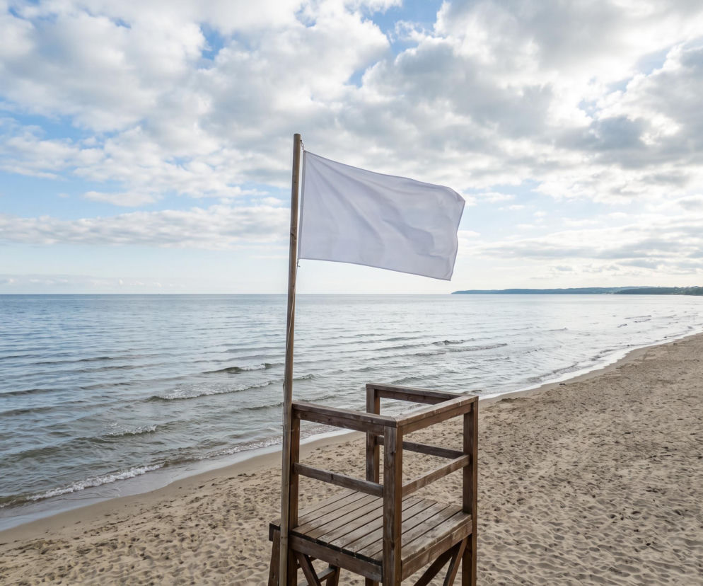 Sinice Gdynia. Czy w Gdyni można się kąpać 31.08? Flaga, warunki pogodowe