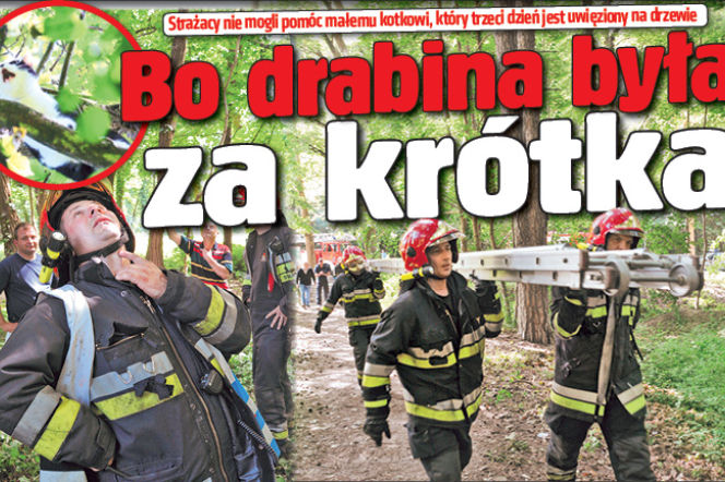 Bo drabina była za krótka