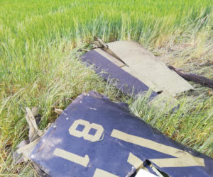 Tragedia po Antidotum. W Czechach rozbił się samolot T-28 Trojan, pilot nie żyje