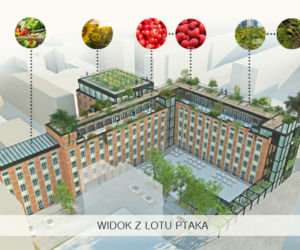 Ten projekt zielonych dachów zajął II miejsce