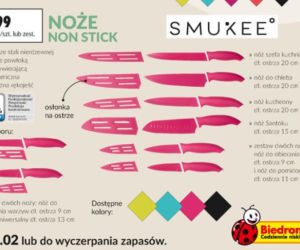 promocje z gazetki Biedronka