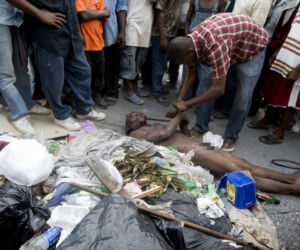 Haiti: Szabrownik ukarany