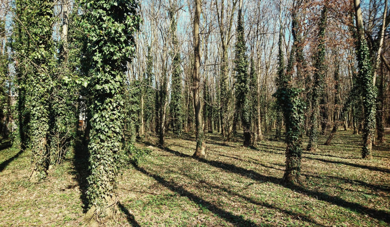 Park im. Tadeusza Rejtana w Łodzi