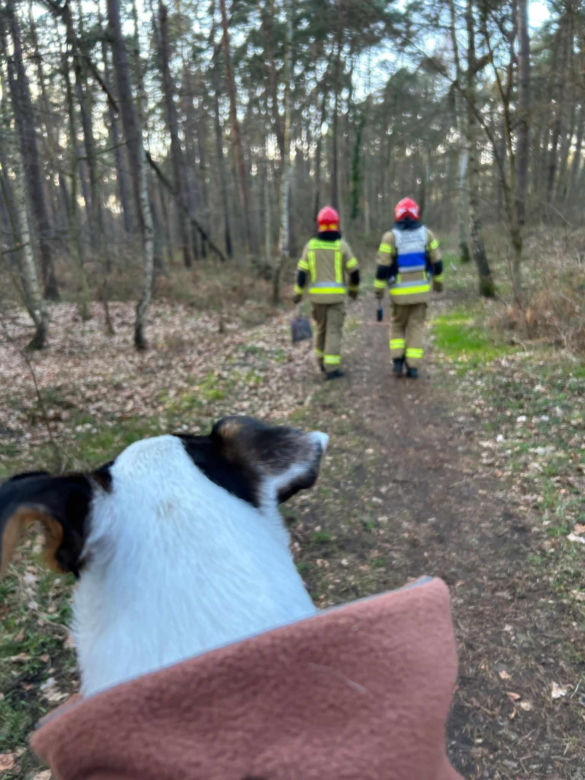 Suczka Figa uratowała las w Świnoujściu