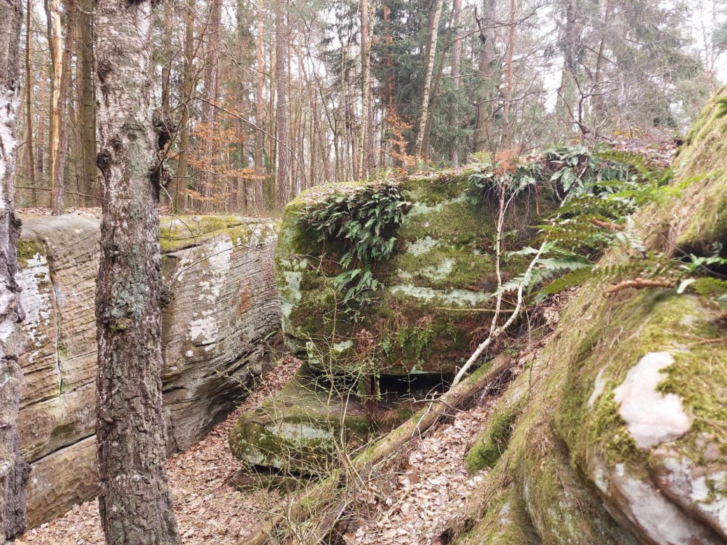 Rezerwat Przyrody "Skały pod Adamowem"
