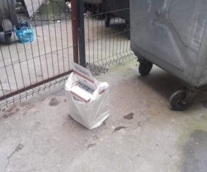 Te interwencje łódzkiego Animal Patrolu łamią serce...