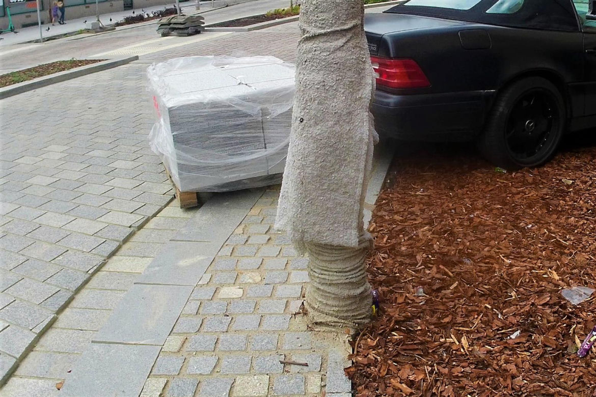 "Mistrz parkowania" w centrum Szczecina. Spotkała go niecodzienna "kara"