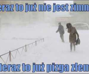 Mróz memy
